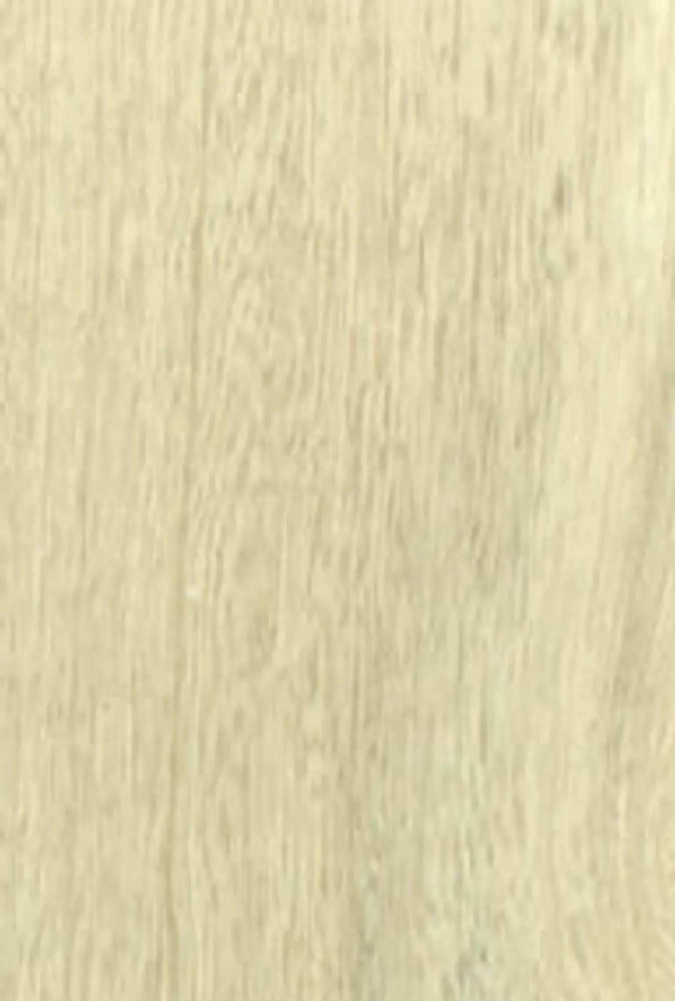 White limba